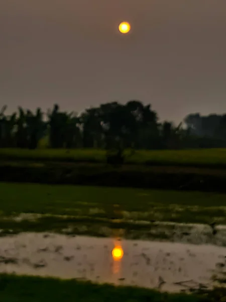 Au coucher du soleil, la terre et le soleil des champs verts . — Photo