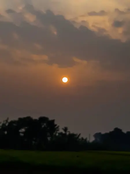 Au coucher du soleil, terres agricoles indiennes et arbres verts, lumière du soleil . — Photo