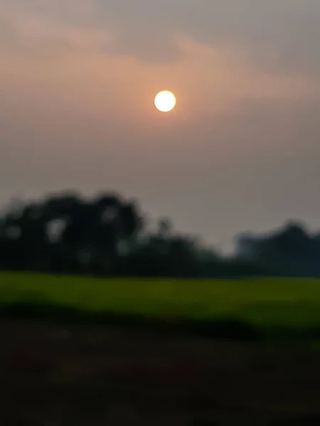 На закате, индийские сельскохозяйственные земли и зеленые деревья, солнечный свет . — стоковое фото