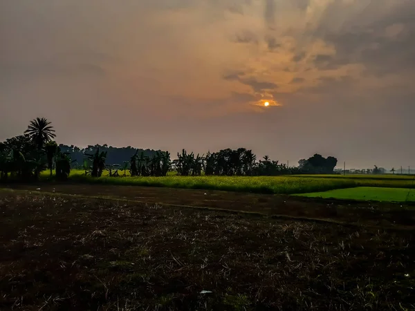 Sonnenuntergang, Sonnenlicht und grünes Reisfeld, bewölkter Himmel. — Stockfoto