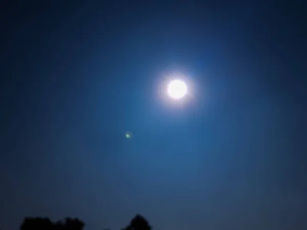 Matahari dan langit biru yang cerah, pohon hijau dan latar belakang biru . — Stok Foto