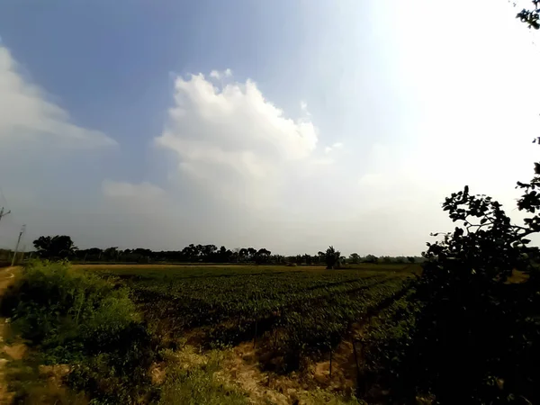 具有白云和绿色背景的印第安村庄农业用地和蓝天 — 图库照片
