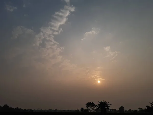 Время Заката Индийское Сельское Хозяйство Земля Зеленое Дерево Солнце Свет — стоковое фото
