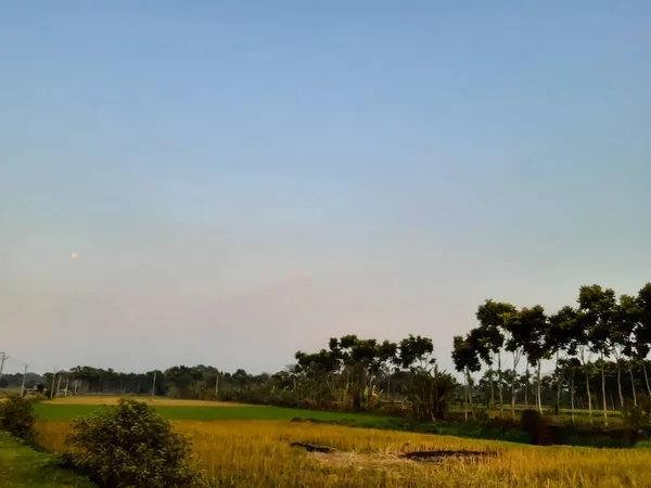 Захід Сонця Зелене Сільськогосподарське Поле Сріблясте Небо — стокове фото