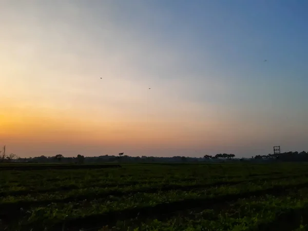 Indiska Byn Jordbruk Fält Vid Solnedgången Tid Blå Färg Himmel — Stockfoto