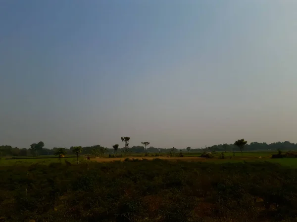 Indian green agriculture land and blue sky with silver color.