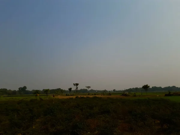 Зеленые Земли Сельского Хозяйства Индии Голубое Небо Серебряным Цветом — стоковое фото