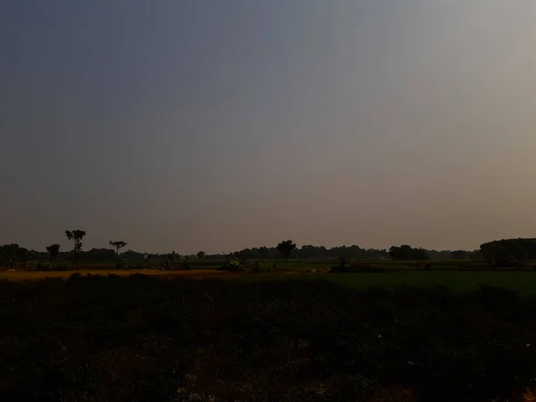 Індійське Сільське Господарство Землі Блакитне Небо Навколишнє Середовище — стокове фото