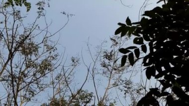 Sabahları bahçedeki yeşilliğin güzelliği ve etraftaki tarlalar..