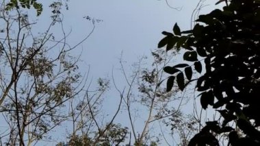 Sabahları bahçedeki yeşilliğin güzelliği ve etraftaki tarlalar..