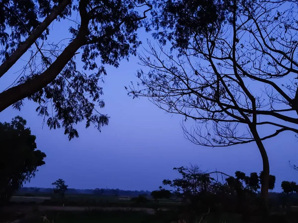 Sonnenuntergang Indisches Dorf Ackerland Und Grüner Baum — Stockfoto