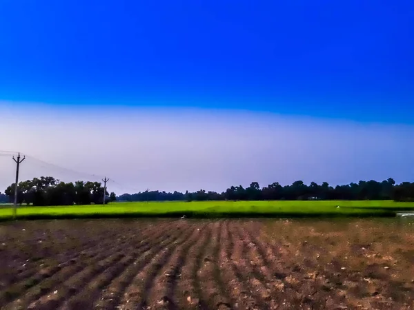 Індійське Сільське Господарство Землі Блакитне Небо Білими Хмарами — стокове фото