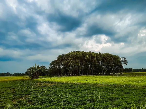 Indisches Dorf Grünes Ackerland Grüner Baumgarten Und Wolkenverhangener Himmel Bei — Stockfoto