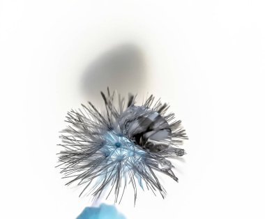 Beyaz arka planda siyah-beyaz çim çiçeği