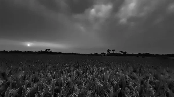 Ciel Avec Des Nuages Blancs Des Terres Agricoles Blanches Noires — Photo