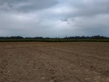 Hindistan 'ın Batı Bengal eyaletindeki doğal ortam Amfan Kasırgası' ndan bir hafta sonra.