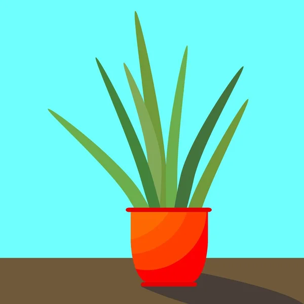 Green Aloe Vera Leaves Pot Flat Vector Illustration — Stock Vector