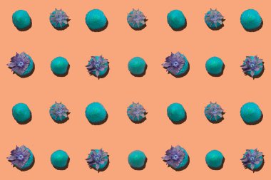 Renkli bir arkaplan üzerinde renkli çilek desenli Zenithal ve az görünümü renk çemberinin ahengi takip.