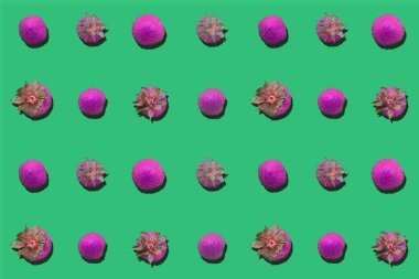 Renkli bir arkaplan üzerinde renkli çilek desenli Zenithal ve az görünümü renk çemberinin ahengi takip.