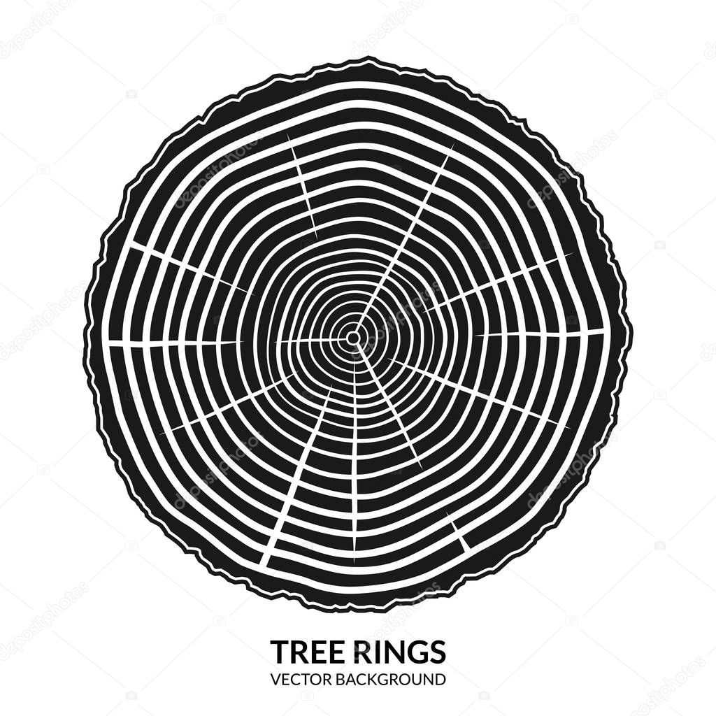 Baum Querschnitt Stamm Kaufen Baum Querschnitt Stamm Kaufen