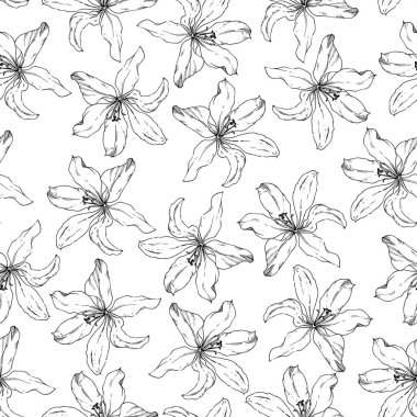 Çiçek arka plan. Lily ile sorunsuz vektör desen.