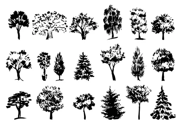 Árboles Vectoriales Siluetas — Vector de stock