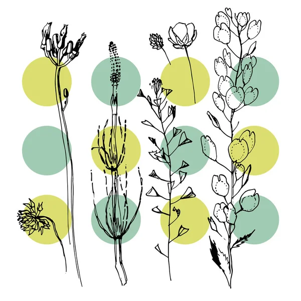 Het Aantal Wilde Bloemen Vectorillustratie — Stockvector