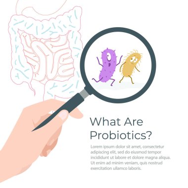Büyütecin içinde patojenik bakteriyel mikroorganizma. Bağırsak görüntüsü, vektör illüstrasyonu.