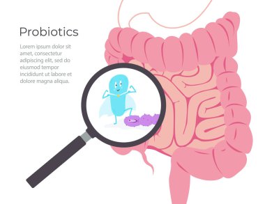Büyütecin içindeki bakteriyel mikroorganizma. Bağırsak görüntüsü, vektör illüstrasyonu.
