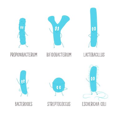 Types of useful probiotics. Vector illustration. clipart