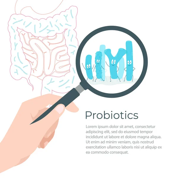 Bakterielle Mikroorganismen Einer Lupe Das Bild Des Darms Vektorillustration — Stockvektor