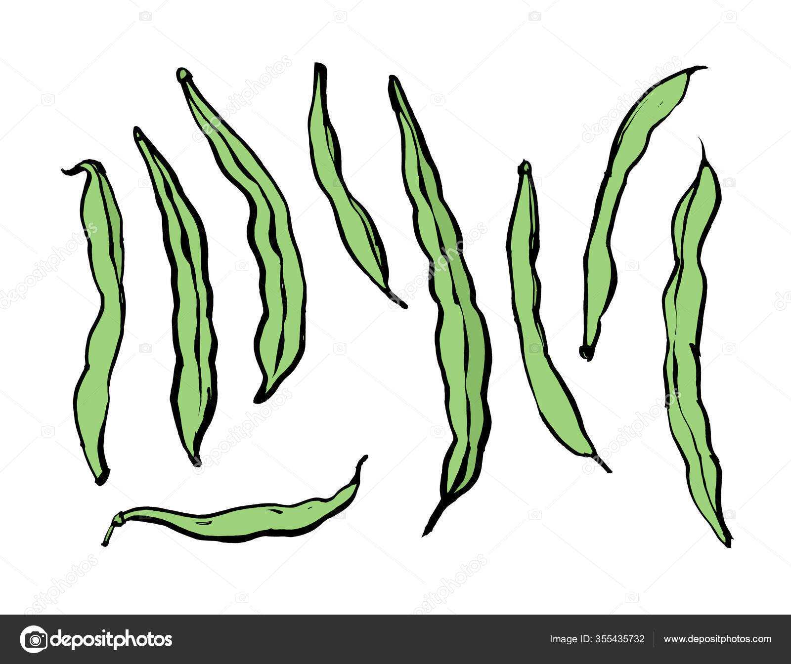 String beans Vector Art Stock Images | Depositphotos String beans Vector Art Stock Images | Depositphotos