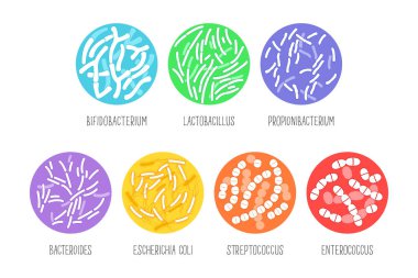 Types of probiotics on a white background. Vector illustration. clipart