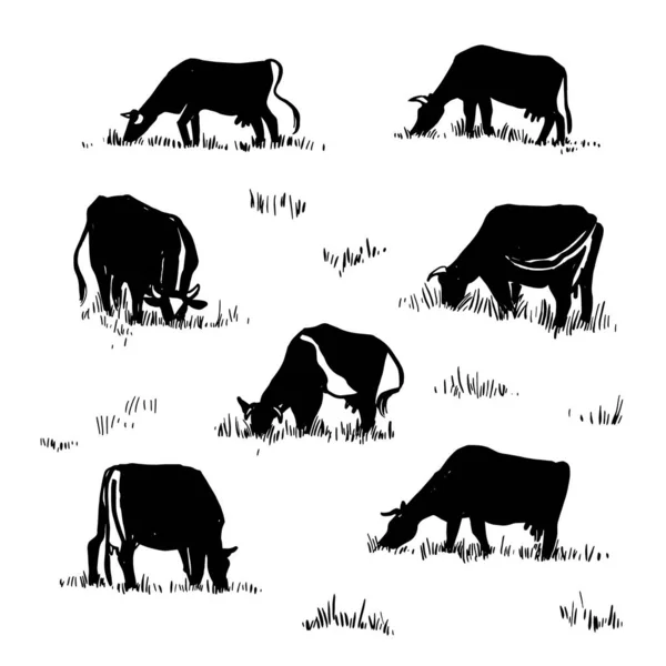 Kühe Grasen Auf Einer Weide Zeichnung Auf Weißem Hintergrund Von — Stockvektor