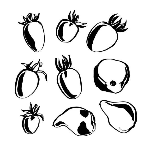 Drawing Tomatoes White Background Hand Drawn Vector Graphics — Stock Vector