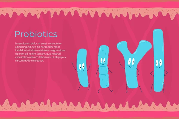 Types Probiotiques Sur Fond Intestin Illustration Vectorielle — Image vectorielle