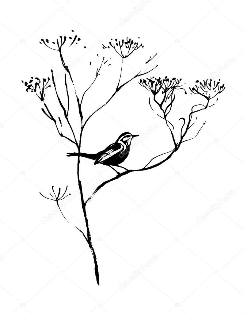A small bird on a plant. Drawing on a white background, drawn by hand, vector graphics.