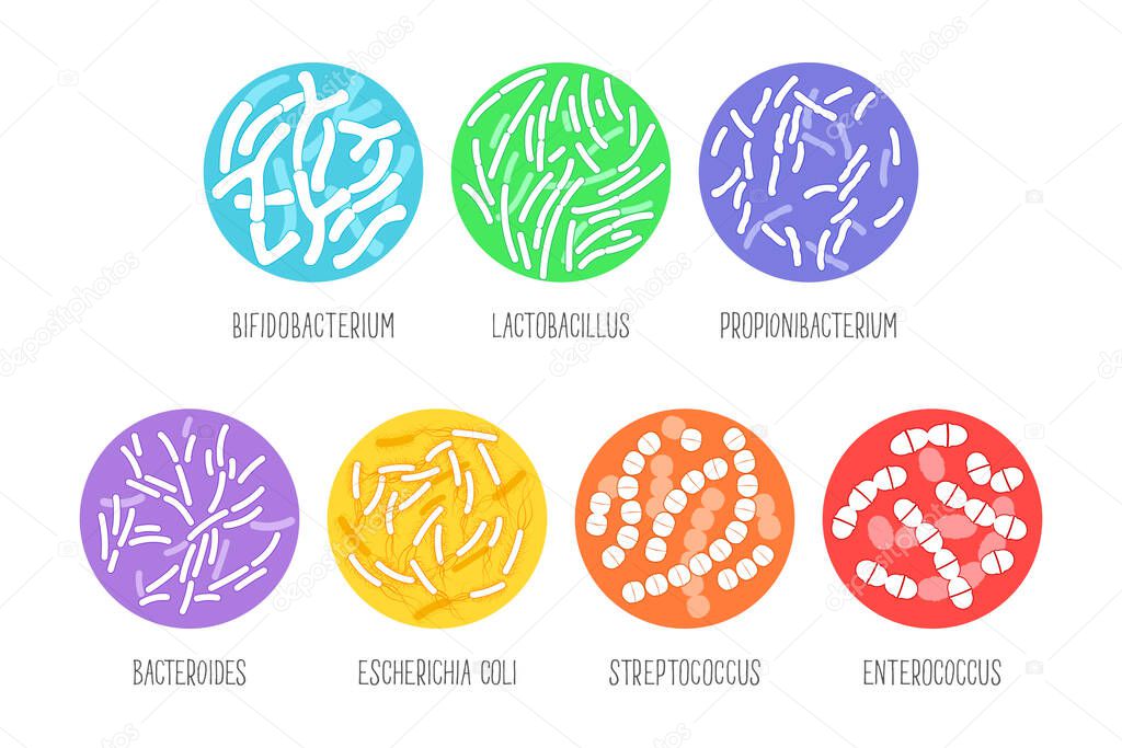 Types of probiotics on a white background. Vector illustration.