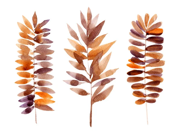 Autumn Leaves White Background Watercolor Illustration Poster Your Design — Stock Photo, Image