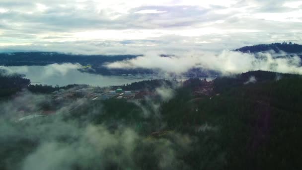 从工业区的视野看森林上的云彩 — 图库视频影像