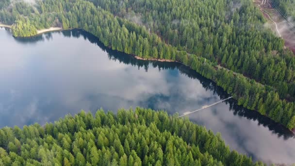 Ormanın Ortasındaki Göl Manzarası — Stok video