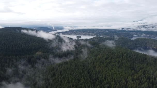 British Columbia Parque Regional Belcarra Nuvens Baixas Floresta Com Vista — Vídeo de Stock
