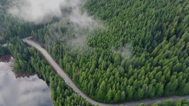 雲と車が通り過ぎる森の中の道 — ストック動画