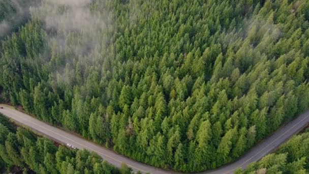 笑顔の形で小さな雲と道路と森の空中ビュー — ストック動画