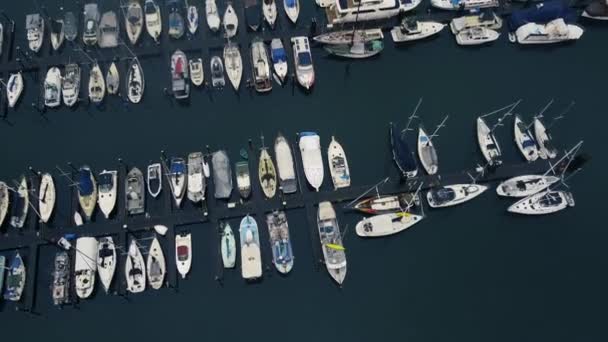 Marina Met Zeilboten Jachten Granville Island Uitzoomen Uitzicht Vanaf Bovenkant — Stockvideo