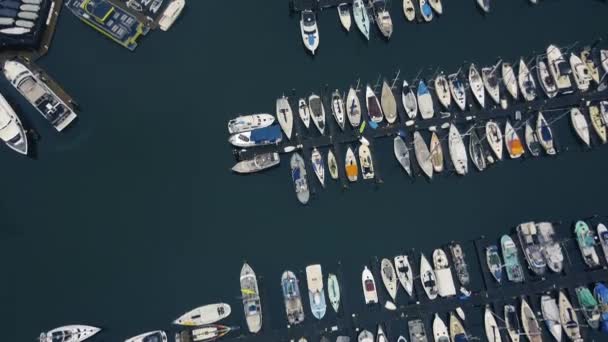 Fly Yachts Granville Island Marina — Stock Video