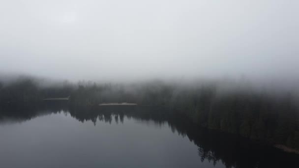 Foresta Coperta Dalla Nebbia Dagli Alberi Riflesso Sul Lago Nella — Video Stock