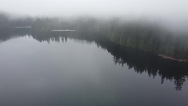 호수와 숲에서 구름으로 날아오는 — 비디오