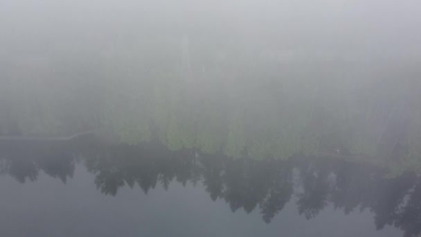 Going High Clouds Morning Fog Lake Forest Background — Stock Video