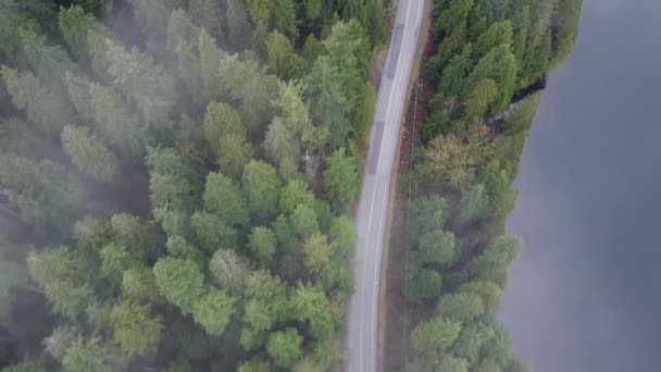 Strada Solitaria Nella Foresta Vista Aerea Con Nuvole Che Passano — Video Stock